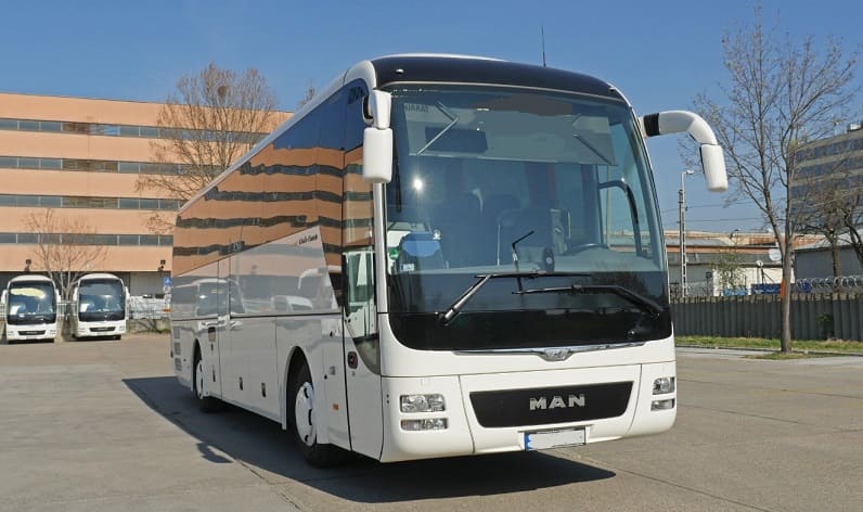 Zug: Buses operator in Cham in Cham and Switzerland